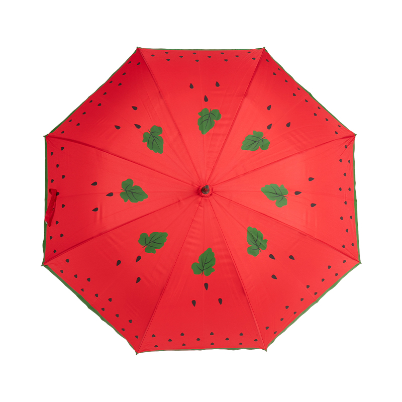 Assorted Patterned Gift Umbrella