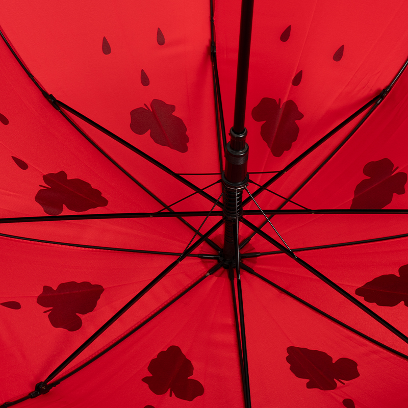 Assorted Patterned Gift Umbrella