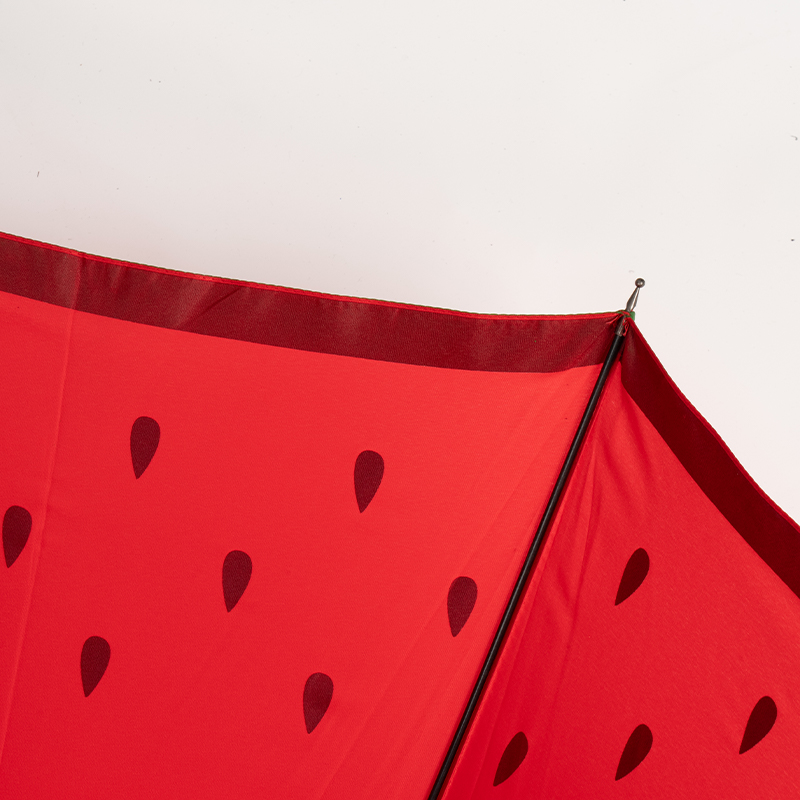 Assorted Patterned Gift Umbrella