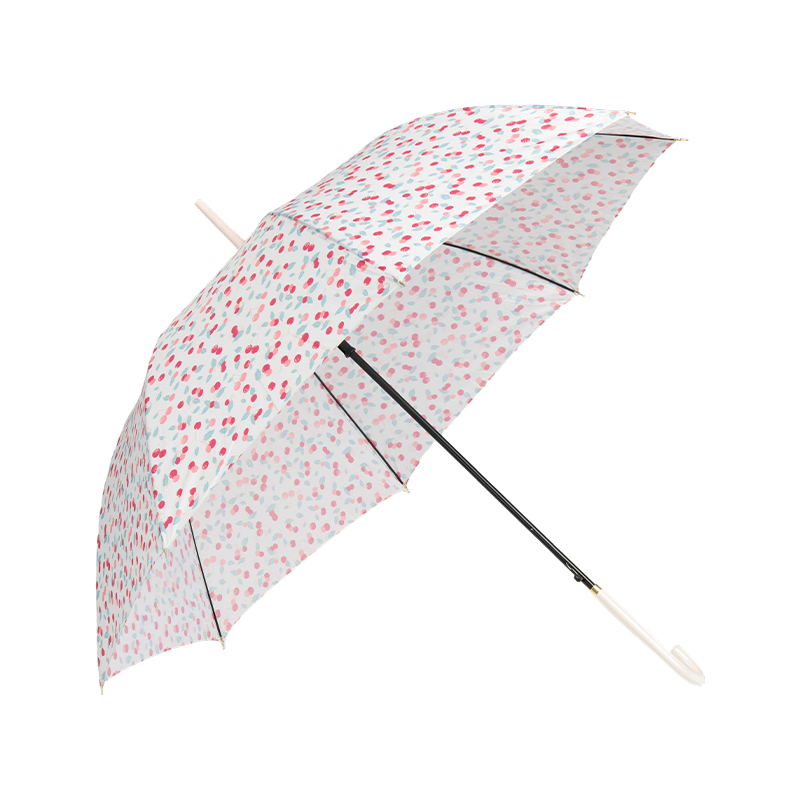 Assorted Patterned Gift Umbrella